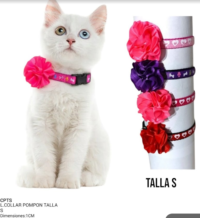 COLLAR POMPO TALLA REF CPTS