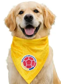 PAÑOLETAS COLOMBIA VARIADA REF PACO