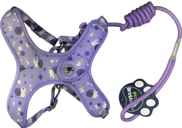 LAZO CON PECHERA PARA MASCOTAS REF PEC-64 TALLA S