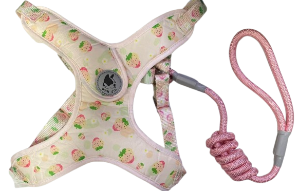 LAZO CON PECHERA PARA MASCOTAS REF PEC-65
