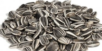SEMILLA LUPE GIRASOL A GRANEL BULTO 20KL X 250 GR