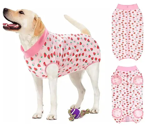 FAJA MASCOTAS TALLA XL REF 21803