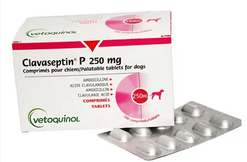 CLAVASEPTIN 250 MG X 2 UND