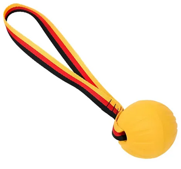 JUGUETE PELOTA SEMIMACISA Y MANIJA RESISTENCIA (REF 244)