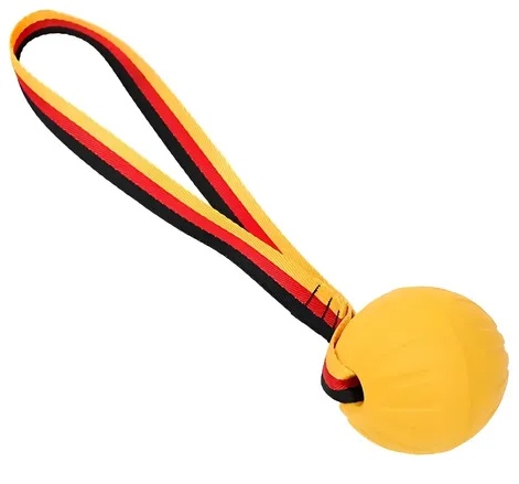 JUGUETE PELOTA SEMIMACISA Y MANIJA RESISTENCIA (REF 244)