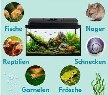 AQUARIUM FISH TANK SET 30*35*40*45*50 REF SET5IN1